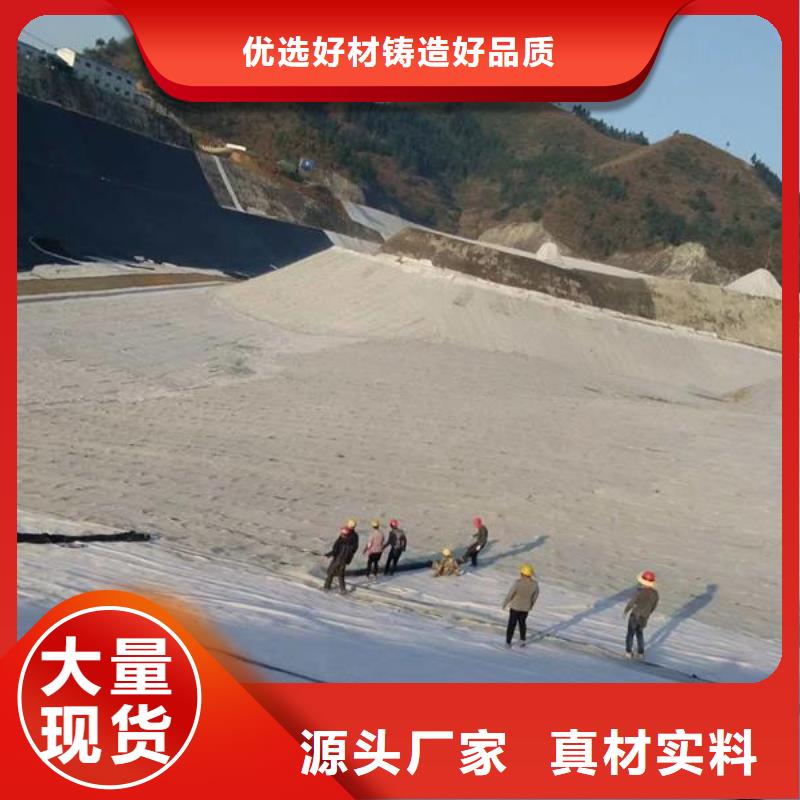 河道膨潤土防水毯精選廠家實力大廠家