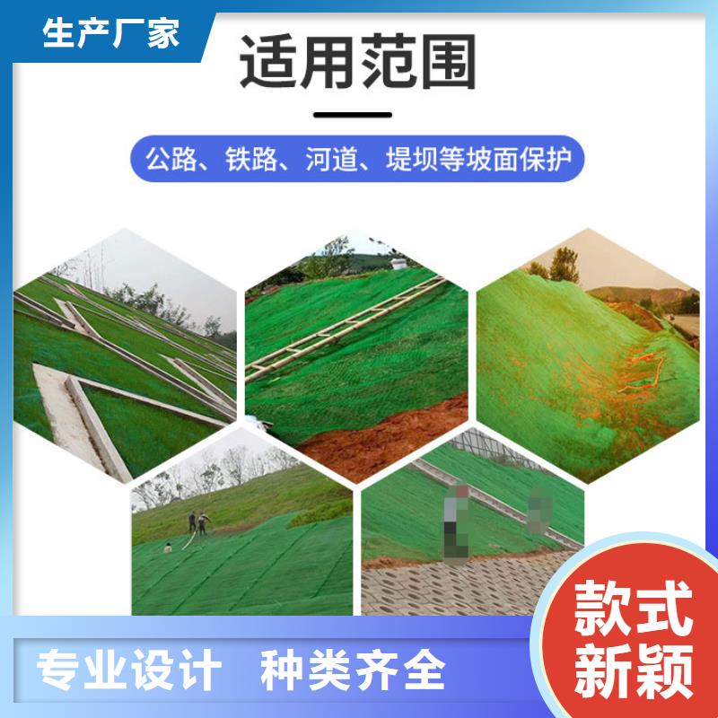 固土三維植被網多規格可定制質量層層把關