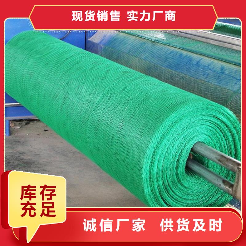 固土三維植被網實力廠家/現貨供應質量上乘