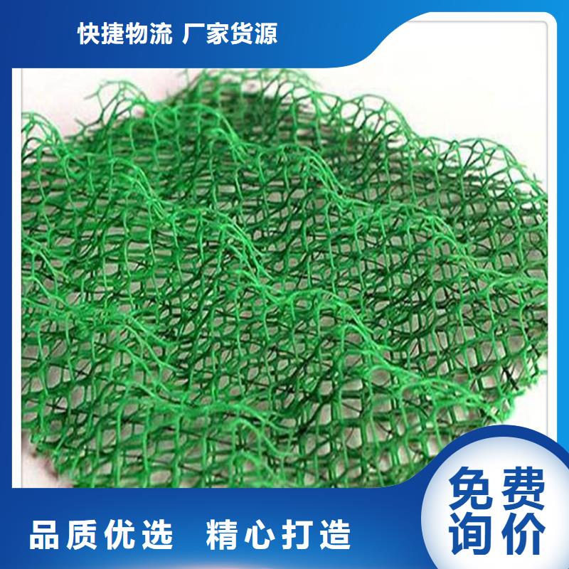 草坪三維植被網生產廠家哪家好實力工廠