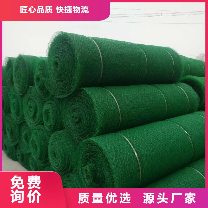 三維植被網的護坡作用當地服務商