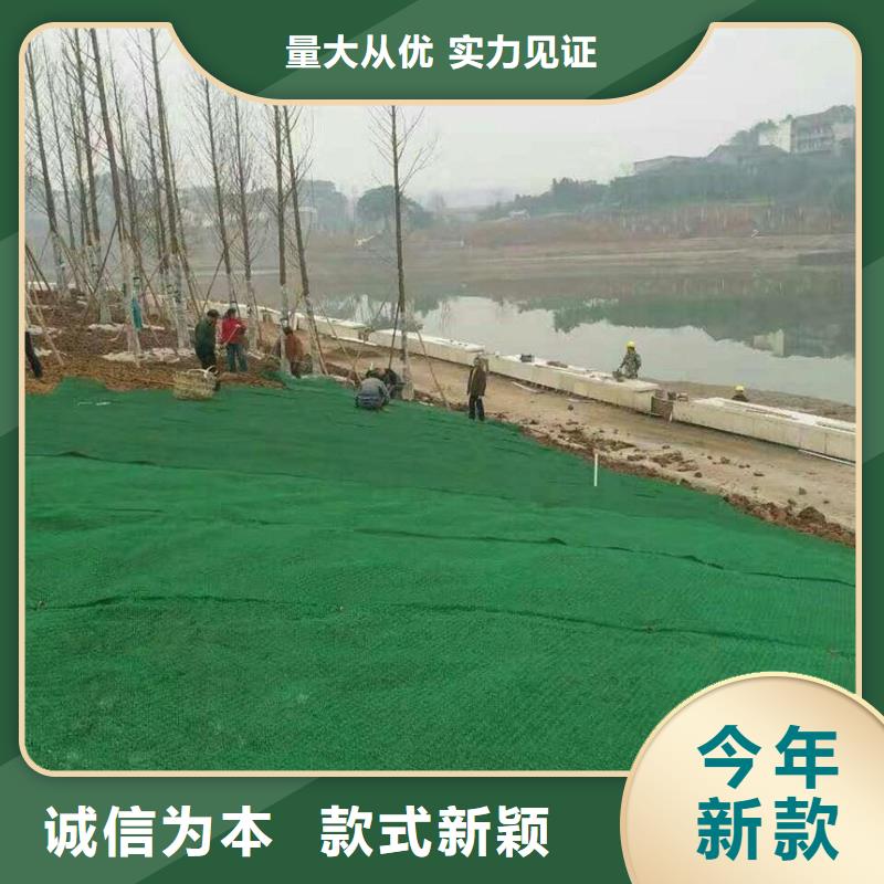 三維植被網實業廠家廠家報價行業優選