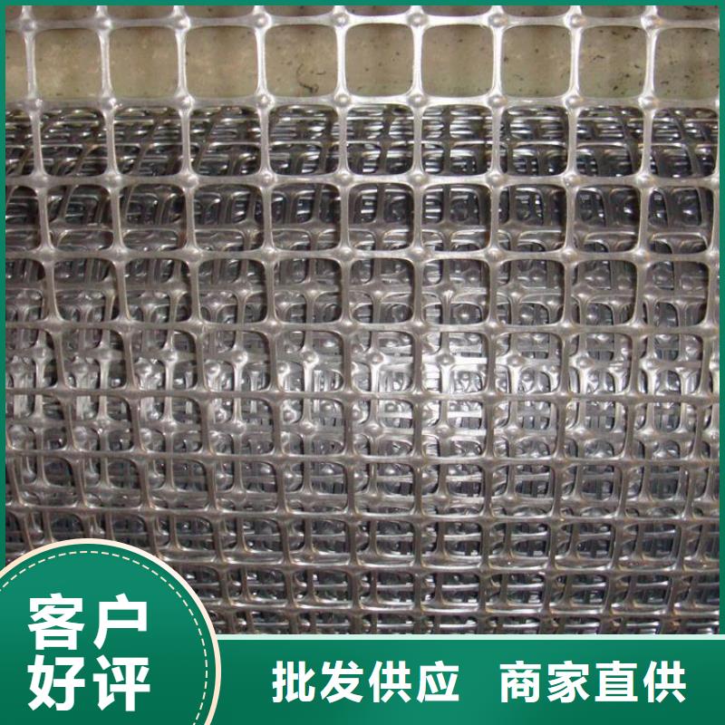 單向土工格柵礦用土工網廠家直銷服務始終如一