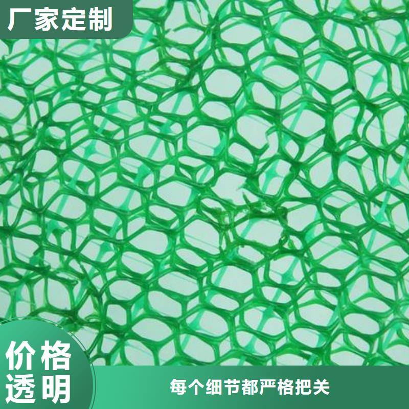 植被網源頭廠家供應