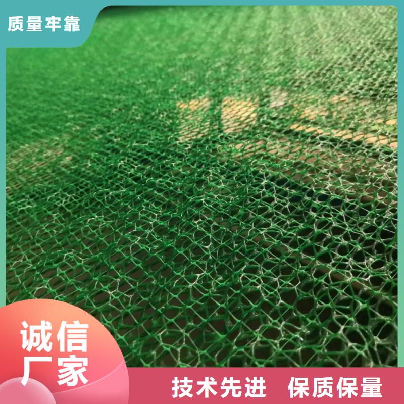 三維植草網生產廠家當地生產廠家