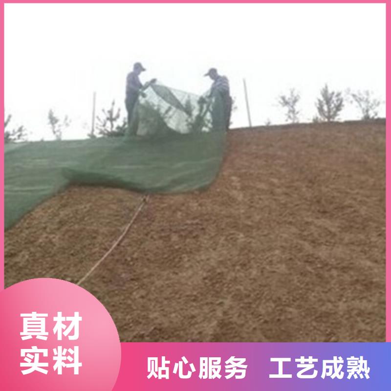 護(hù)坡三維網(wǎng)廠家三維植被網(wǎng)墊價(jià)格生產(chǎn)廠家對(duì)質(zhì)量負(fù)責(zé)