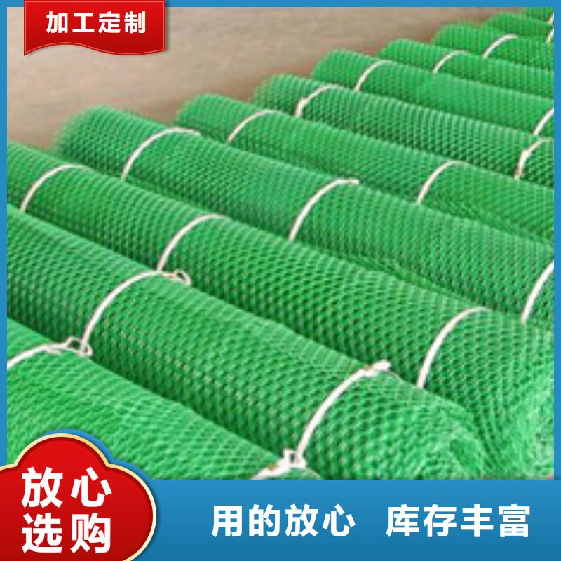 三維植被網廠家綠化植草網價格生產廠家嚴選材質