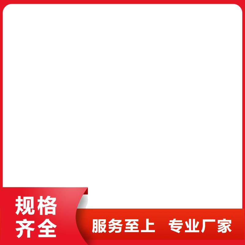 皮帶秤廠家專業生產N年