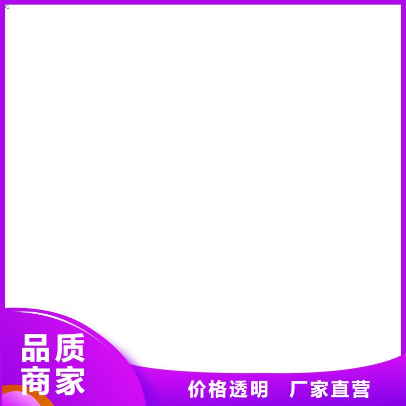 電子皮帶秤服務好同城生產商