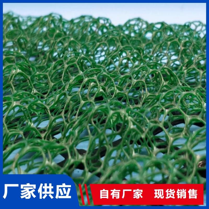三維植被網(wǎng)-植被網(wǎng)-護(hù)坡網(wǎng)-廠家直銷同城經(jīng)銷商