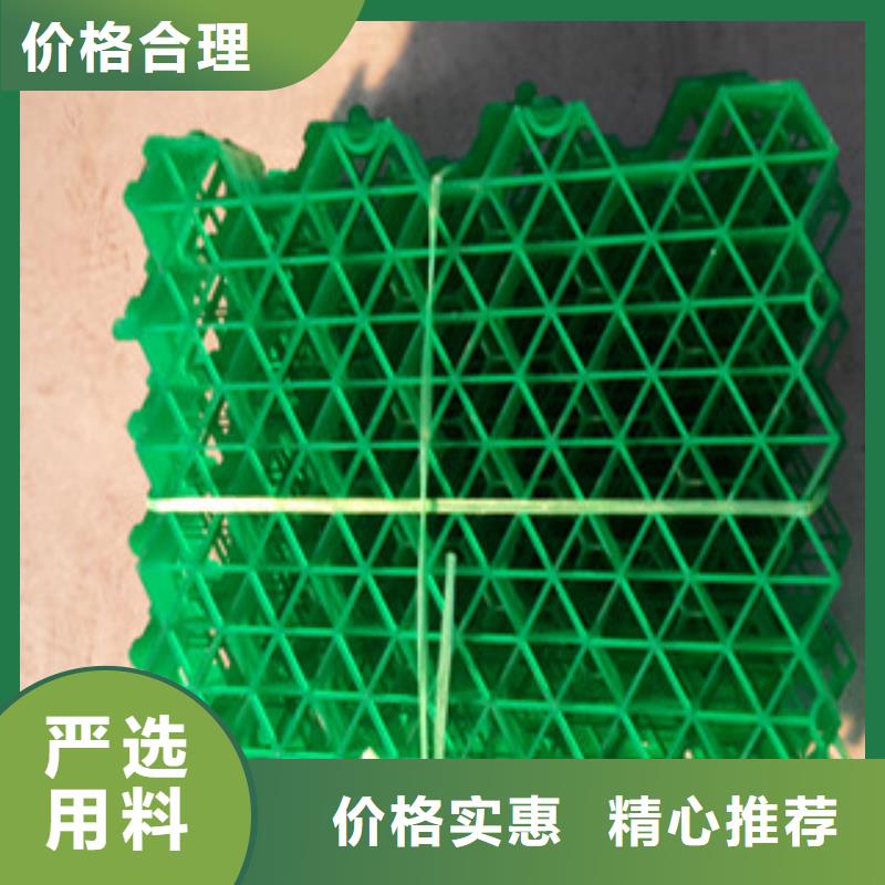 消防通道植草格用途源頭廠家直銷