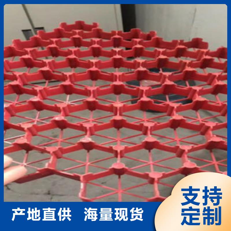 停車位植草格用途支持定制批發