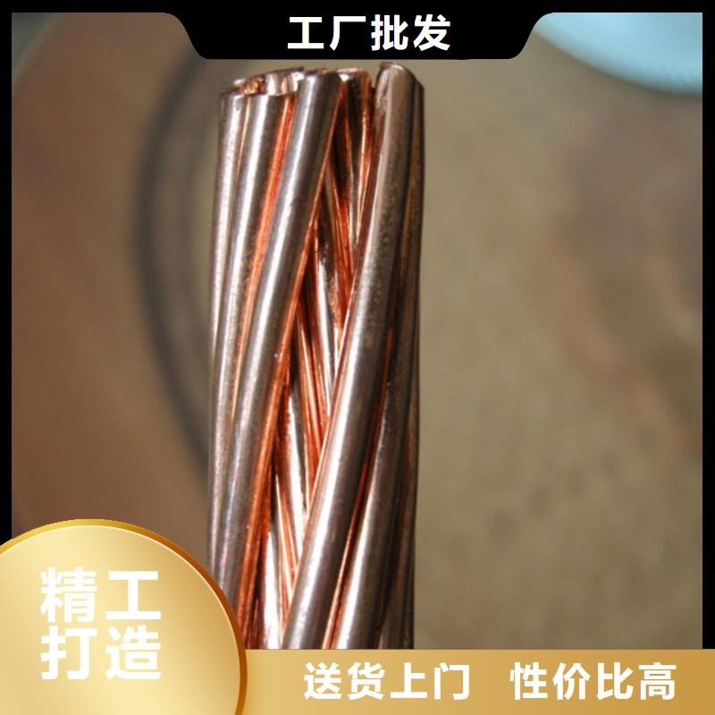 莆田TJ-50mm2鍍錫銅絞線圖片【廠家】